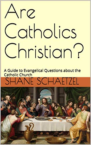 My Book on Catholic Apologetics